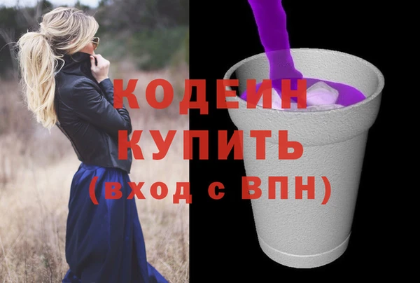 ешки Иннополис