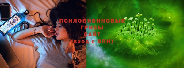 ешки Иннополис