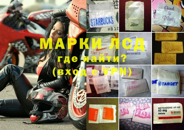 прущие крисы Инта