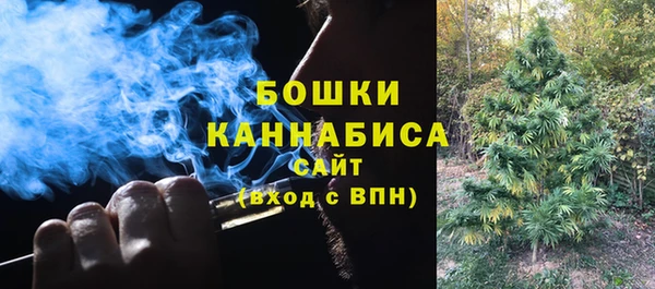 прущие крисы Инта