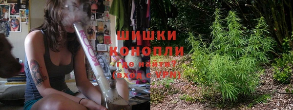 прущие крисы Инта