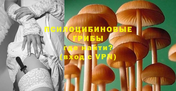 прущие крисы Инта