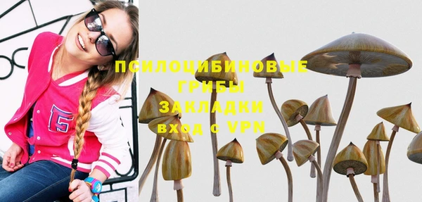 ешки Иннополис